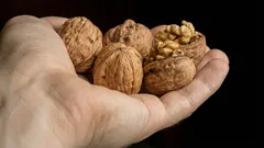 Så skalar du snabbt hårda valnötter: effektiva metoder