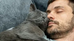 Hur en katt visar sin kärlek: Om den gör så här är du dess absoluta favoritperson