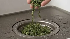 Varför rekommenderas det att slänga krossade lagerblad i avloppet och vilka fördelar ger det?