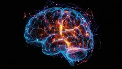 Vad är Alzheimers sjukdom och varför försämras vårt minne? En vetenskaplig förklaring.