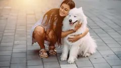 De vänligaste hundraserna för familjer med barn som verkligen älskar människor