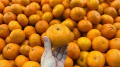 Hur man väljer söta och goda mandariner i butiken utifrån deras utseende