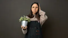 Det som omärkligt skadar dina växter: 7 skötselmisstag som verkar ofarliga